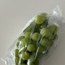 선이농장 이미지