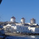 리틀미코노스4 이미지