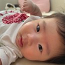 도리도리 이미지