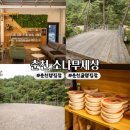 소나무 | [강원] 낭만 가득! 춘천 캠핑장 | 소나무 세상 : 캠핑사이트 후기