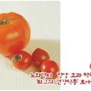 노화 방지· 항암 효과 탁월한 '최고의 건강식품 '토마토' 이미지