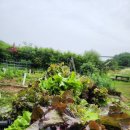 김진성농장 이미지