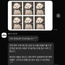 애견가족 | [대구 강아지사진관] 🐶 강아지 증명사진 &amp; 애견동반 가족사진 후기 (컬러스&amp;봉구네 사진관)