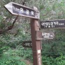 대안여행 이미지