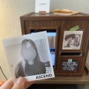 어센드커피