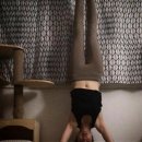 (주)두레파마 | 아니벌써오월이라니?
