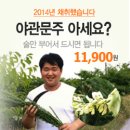 누리나무 네이버블로그