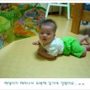 태영이불 이미지