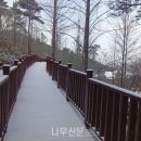 삼삼오오 이미지