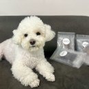 몽몽까까 이미지