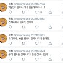 (주)칸마루 이미지
