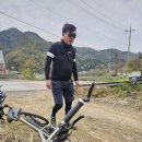 앵남4 Daum카페