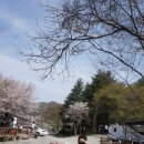 병산목장 이미지