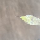 신플란트치과의원 이미지