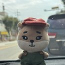 한마당펜션 | 25.09.26~27 하동 런닝독 애견펜션 후기🐶