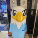 판교연세독수리안과의원 이미지