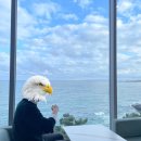 신광산장식당 이미지