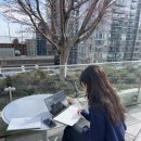 [Canada/Vancouver] 한인 미용실 후기 <Salon de nuvida> 💇🏻‍♀️💇🏻‍♀️