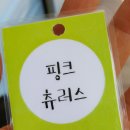 코끼리 플리마켓*