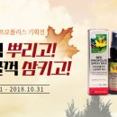 오리진코리아