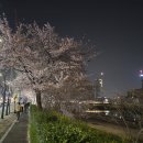 머시기쪽갈비(동천점) | 광주시 서구 동천동 머시기쪽갈비
