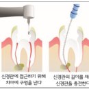 강치과의원 이미지