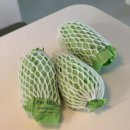 (주)케이씨팜 | 이용선 산지직송 샤인머스켓 | 선물세트 추천, 명절 과일선물 추천