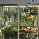 오운어스 | 수성구 꽃집 오운어스 / ownusflower 축하 화분 후기 (꽃다발 가격 O 내돈내산)
