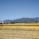 와야농장 이미지