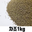 밥보 - 서초구 | 밥보