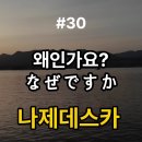 [기초]일본어 회화B 이미지