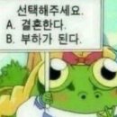 역도회관옆 | 아현정 웨딩 27년 예약 후기｜대구 한옥 야외웨딩 벚꽃 시즌 토요일 11시 타임 성공