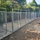 스터디독스쿨 이미지