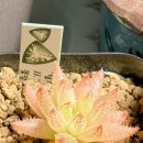 지양농장 이미지