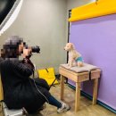 미용하고 가개 이미지