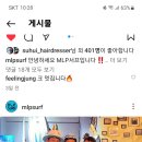엠엘피 이미지