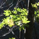 산사가는길 이미지