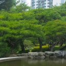 푸름공원 이미지