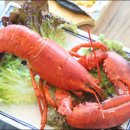 충청도7호 이미지
