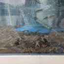 랑동한옥스테이 이미지