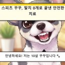 첨단미르치과병원 | 광주 서구 치과 동물병원 | 10살 노령견 발치 없이 엠도게인 치주 치료 성공 후기