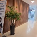 (주)해피나무 이미지