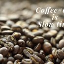 (세화2리)갯머리작은도서관 이미지