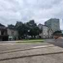 모닝글로리용현