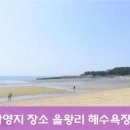 안민 동물병원 이미지