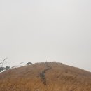 원 행정사사무소 이미지