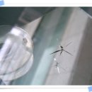 충남차유리 이미지