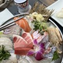 테라스시