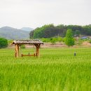 (주)청보리 네이버블로그