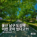 (유)대일건설 | 울산시설공단 공원시설 울산 남구 도심속공원 울산문화공원